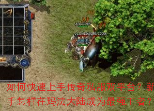 ��ο������ִ���˽��˫ƽ̨�������������귨��½��Ϊ��ǿ���ߣ�