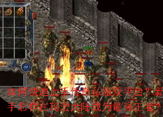 ��ο������ִ���˽��˫ƽ̨�������������귨��½��Ϊ��ǿ���ߣ�