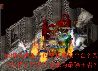 ��ο������ִ���˽��˫ƽ̨�������������귨��½��Ϊ��ǿ���ߣ�