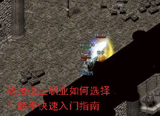 ս������ְҵ���ѡ�����ֿ�������ָ��