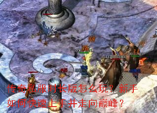 ����˽��ʱ������ô�棿������ο������ֲ������۷壿