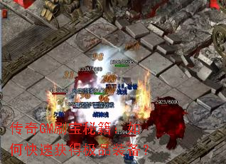 ����GMˢ���ؼ�����ο��ٻ�ü�Ʒװ����