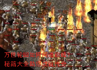 万世轮回如何问道巅峰?秘籍大全助你成就传奇 万世轮回如何问道巅峰?秘籍大全助你成就传奇