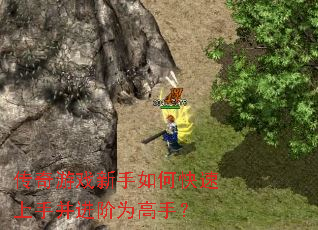 ������Ϸ������ο������ֲ�����Ϊ���֣�