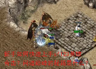 ������ο�������sf123Ӣ�ۺϻ����ʵ��۷���ؼ���ʲô��