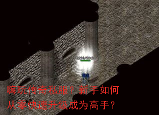 ���洫��˽����������δ������������Ϊ���֣�