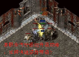 ��ְҵ���漫���������ԣ���ο��������ȼ���