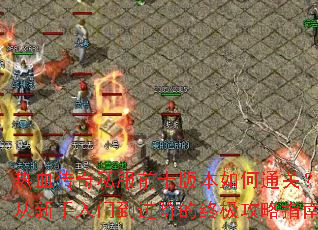 ��Ѫ����˽��ǰʮ�汾���ͨ�أ����������ŵ����׵��ռ�����ָ��