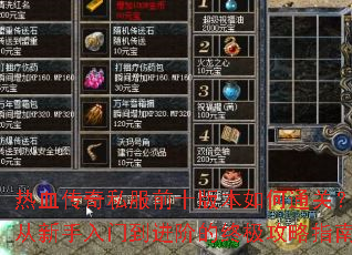 ��Ѫ����˽��ǰʮ�汾���ͨ�أ����������ŵ����׵��ռ�����ָ��