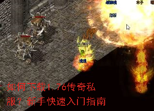 �������1.76����˽�������ֿ�������ָ��