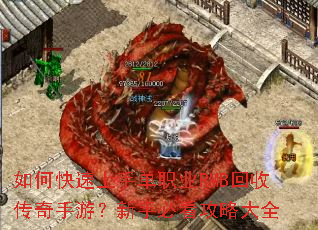 ��ο������ֵ�ְҵRMB���մ������Σ����ֱؿ����Դ�ȫ