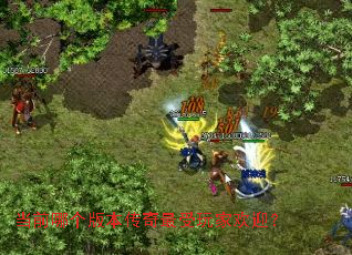 ��ǰ�ĸ��汾����������һ�ӭ��