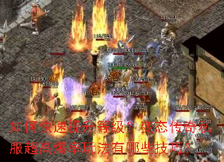 ��ο��������ȼ�����̬����˽�����߱����淨����Щ���ɣ�