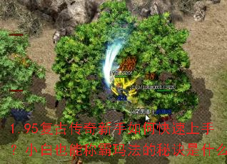 1.95���Ŵ���������ο������֣�С��Ҳ�ܳư��귨���ؾ���ʲô��