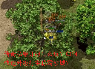 传奇私服开服怎么玩?如何快速升级打宝称霸沙城? 传奇私服开服怎么玩?如何快速升级打宝称霸沙城?