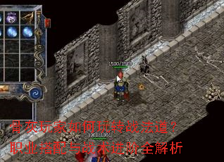 �ǻ���������תս������ְҵ������ս������ȫ����