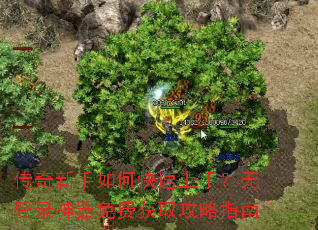 ����������ο������֣��޵�¼������ѻ�ȡ����ָ��