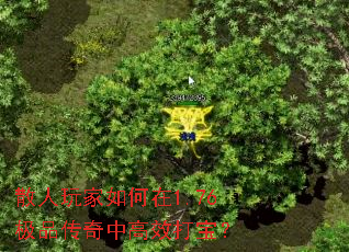 ɢ����������1.76��Ʒ�����и�Ч�򱦣�