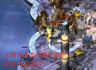 ��ο��ٻ��ܳ��µ�ͼ�е��ռ�BOSS��