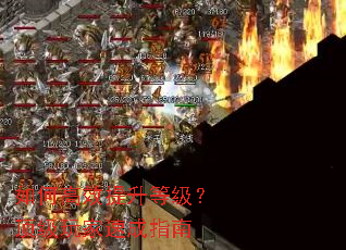 ��θ�Ч�����ȼ�����������ٳ�ָ��