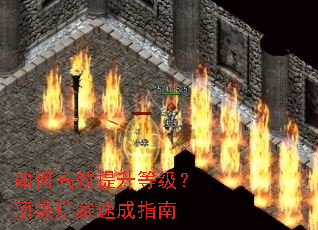 ��θ�Ч�����ȼ�����������ٳ�ָ��