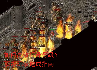 ��θ�Ч�����ȼ�����������ٳ�ָ��