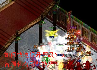 如何快速提升等级?装备强化有哪些技巧? 如何快速提升等级?装备强化有哪些技巧?