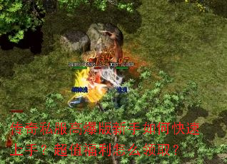 ����˽���߱���������ο������֣���ֵ������ô��ȡ��