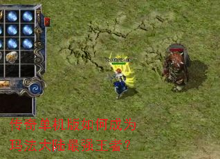 ���浥������γ�Ϊ�귨��½��ǿ���ߣ�