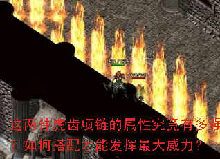 这两件虎齿项链的属性究竟有多强?如何搭配才能发挥最大威力? 这两件虎齿项链的属性究竟有多强?如何搭配才能发挥最大威力?