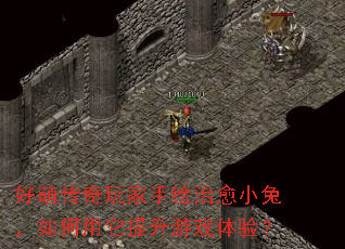 ���ȴ�������ֻ�����С�ã��������������Ϸ���飿