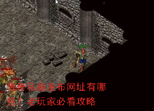 ����˽��������ַ����Щ������ұؿ�����