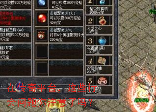 �ڴ���ƽ̨����Щ�л�������ע������