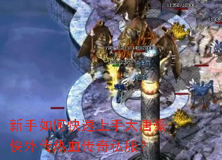 ������ο������ִ��ƺ����⴫��Ѫ����˽����