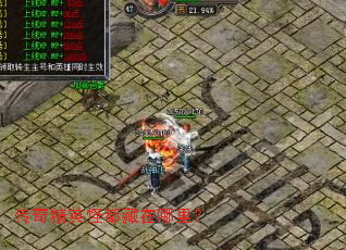 ���澫Ӣ�ֶ��������