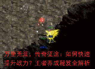 �������ģ�������;����ο�������ս����������������ȫ����