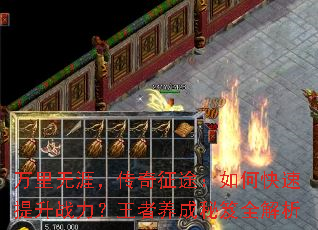 �������ģ�������;����ο�������ս����������������ȫ����