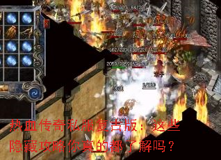 ��Ѫ����˽�����Ű棺��Щ���ع�������Ķ��˽���