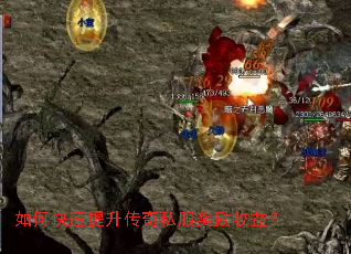 ��ο�����������˽���������棿