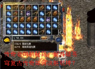 ������˾���ؼ����¶��Ʋ�񷸴�Ŵ�����ξ�ʤǬ����