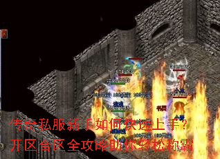 ����˽��������ο������֣���������ȫ�����������ɳư�