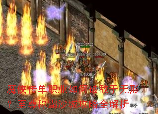 ħ������ְҵ����Ƶ������Σ�����ư�ɳ�ǹ���ȫ����