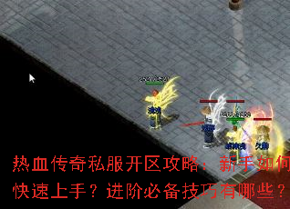 ��Ѫ����˽���������ԣ�������ο������֣����ױر���������Щ��