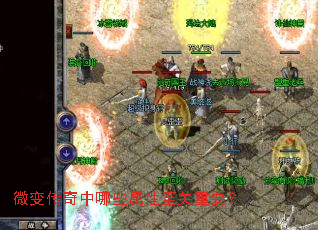 ΢�䴫������Щ����������Ҫ��