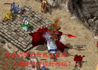 �����߾������������ԣ�������ο��������ȼ���