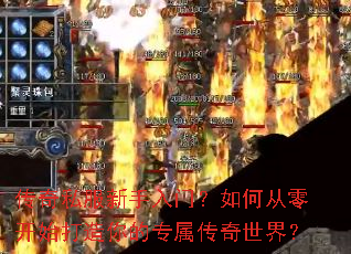 ����˽���������ţ���δ��㿪ʼ�������ר���������磿