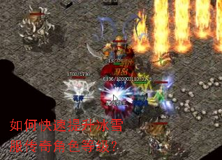 ��ο���������ѩ�������ɫ�ȼ���