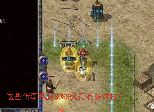 ��Щ����˽��BOSS�����ж��Ѵ�