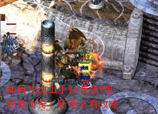 ��ο������������9��ְҵ���棿���ֱؿ�����