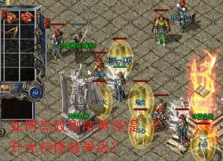 ��θ�Чˢ��Ӣ������Ԫ�������ȼ���